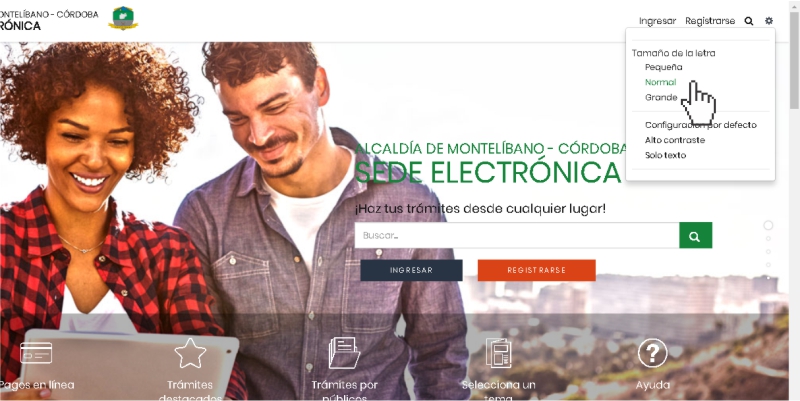 Encabezado 1 Encabezado 1